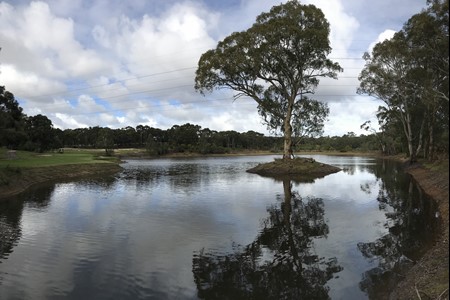 The dam has risen with recent rain